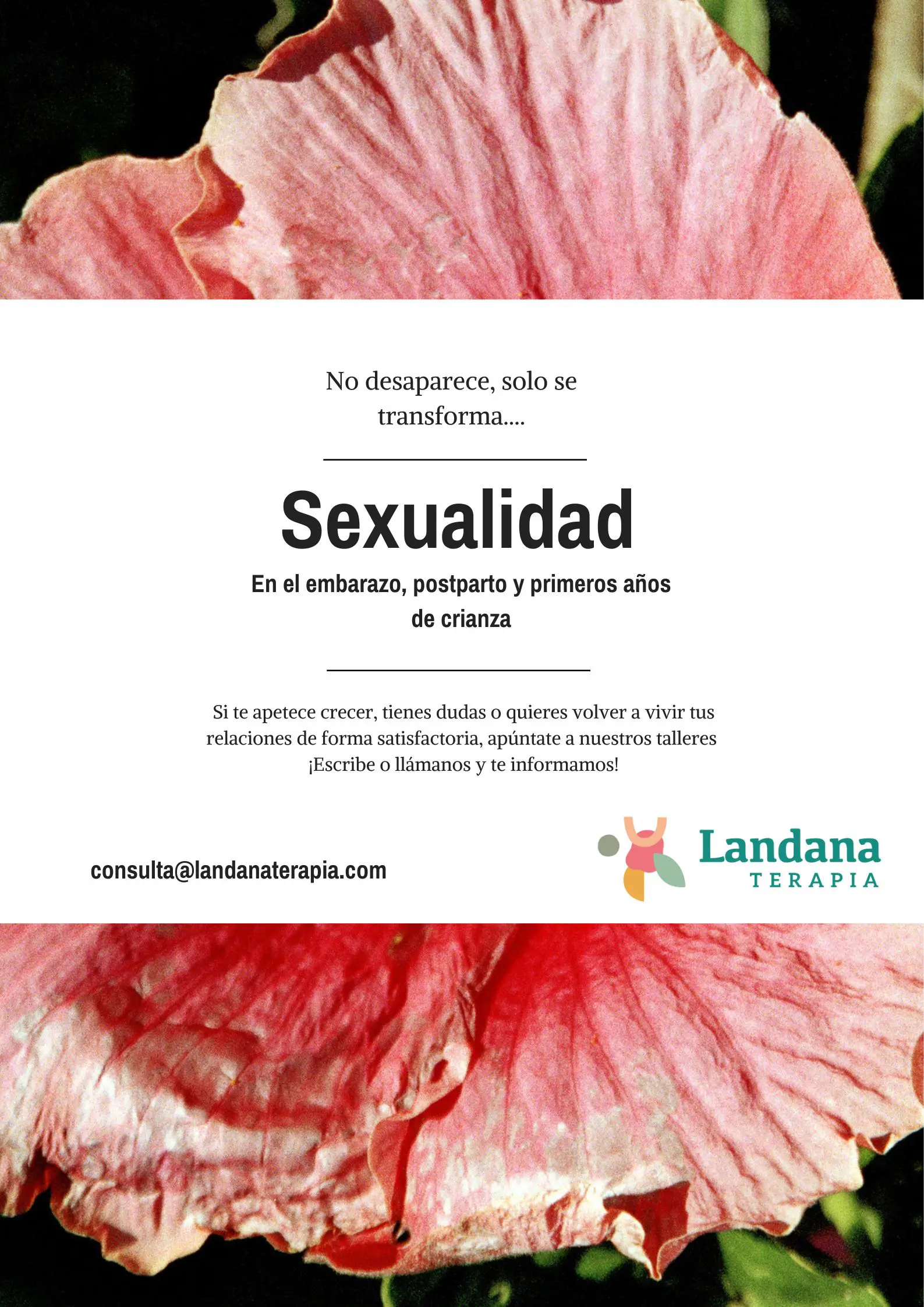 Taller: Sexualidad en el Embarazo, postparto y primeros años de crianza